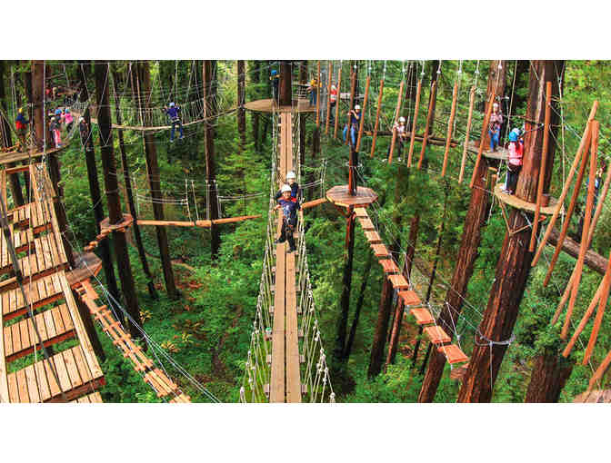 Mount Hermon Adventures: Sequoia Aerial Adventure for Two