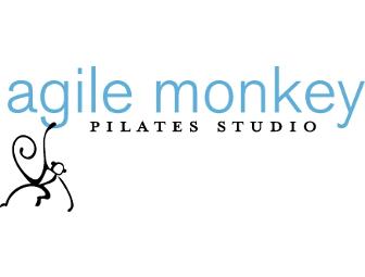 Pilates Sessions - Pre/Post Natal, Foam Roller and a 'onesie'