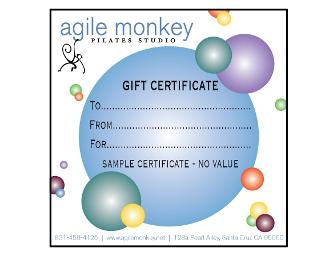 Exercise Ball and Private Pilates Instruction