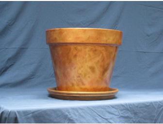 Two Extra Large Terracotta pots from A Fine Finish