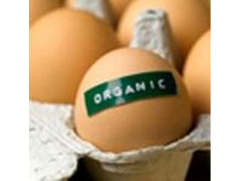 Santa Cruz Local Foods