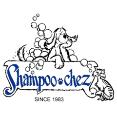 Shampoo Chez