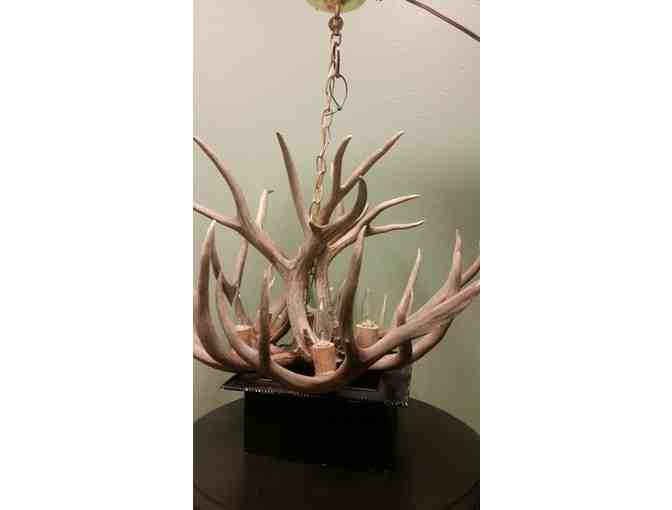 Beautiful Hand-Crafted Real Elk Horn Chandelier