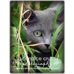 Candice Cruz Photography