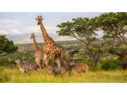South African Photo Safari for Two at Zulu Nyala Heritage Safari Lodge