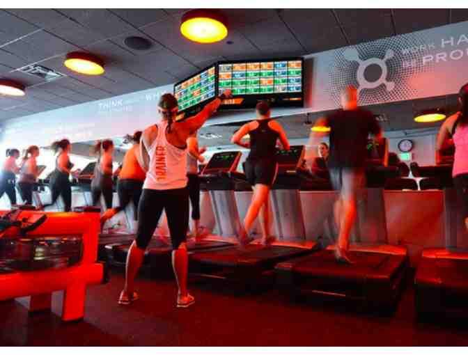 Gift Certificate to Four Orangetheory Classes in Park Potomac