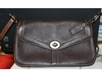 Small Coach Purse