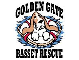 Fund a Box of Heartworm Preventative