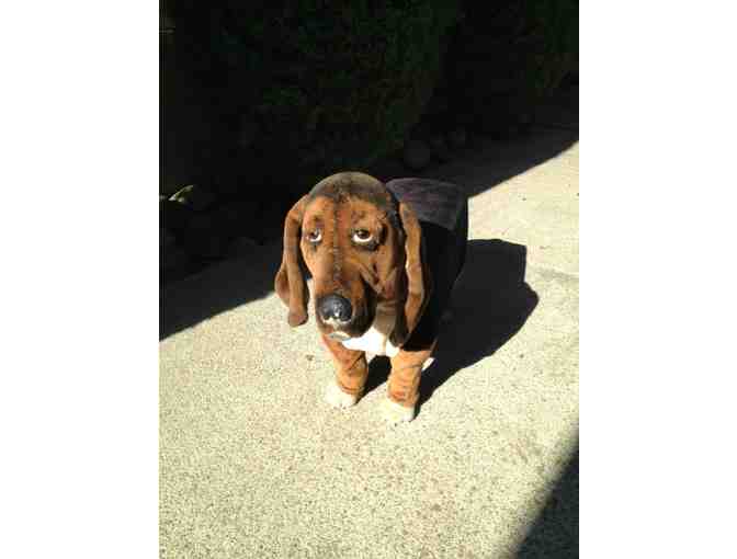 Basset Stool