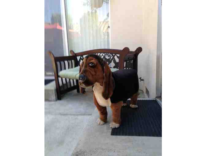 Basset Stool