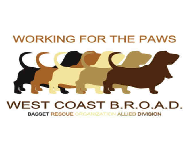 Assortment of 5 Basset Hound and GGBR commemorative TShirts - Medium
