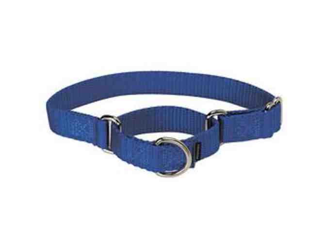 Nylon martingale collar and matching leash set - Teal