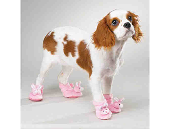 Basset Bunny Slippers by Casual Canine