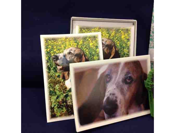 Whimsical wall-mounted leash hanger (basset design) and assorted note cards/memo pad etc.