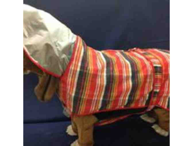 Striped dog raincoat with hood
