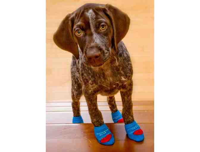 Doggie socks!!  From WoodrowWear - think 'Waddle Wear'!!