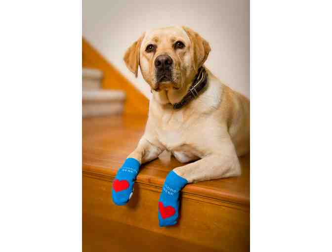 Doggie socks!!  From WoodrowWear - think 'Waddle Wear'!!