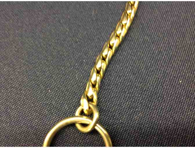 Show slip collar - gold chain