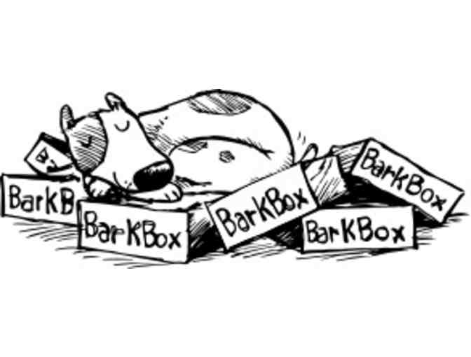 Bark Box 3 Month Subscription