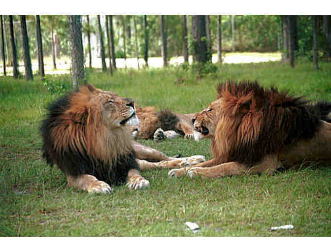 Lion Country Safari -  A Week of Safari Day Camp