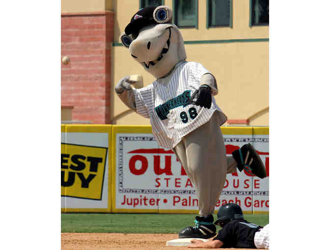 Roger Dean Stadium - Throw out the 1st Pitch at a 2017 Minor League Game