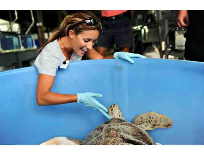 Florida Oceanographic Society - Four (4) One Day Admission Passes