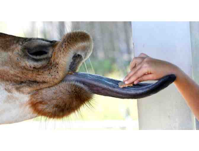 Lion Country Safari - A Week of Safari Day Camp