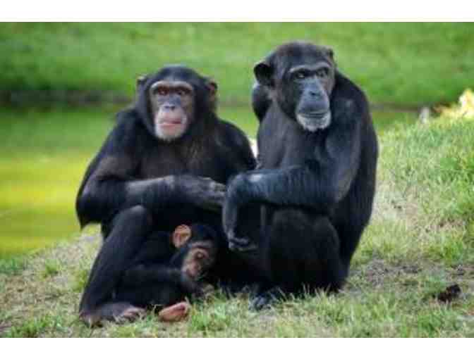 Lion Country Safari - A Week of Safari Day Camp