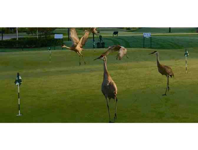 Sandhill Crane Golf Club - Palm Beach Gardens, FL. - A Foursome of Golf