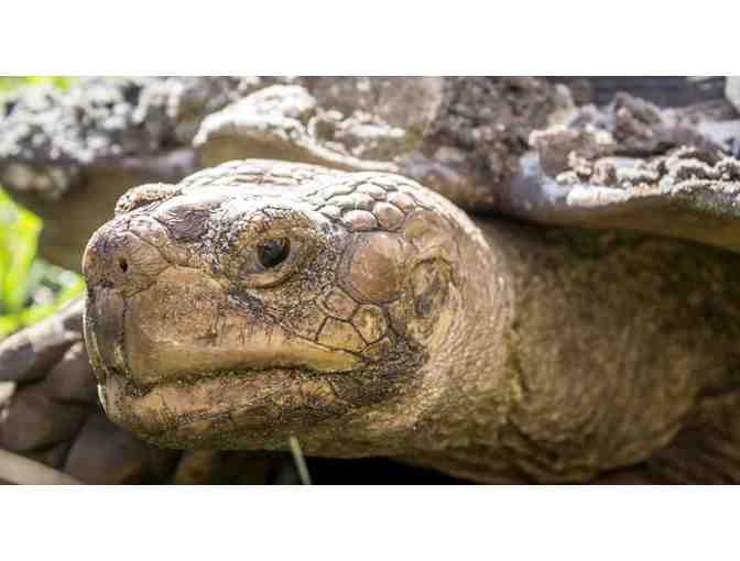 Back to Nature Wildlife Refuge & Education Center - A Family Membership