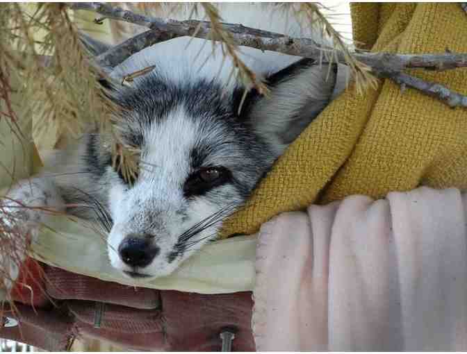Back to Nature Wildlife Refuge & Education Center - A Family Membership