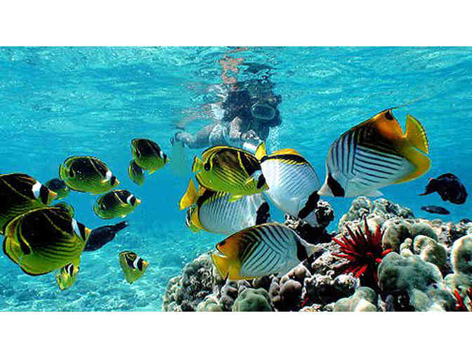 Body Glove Cruises - Gift Certificate for Two (2) Guests Aboard any One of their Cruises