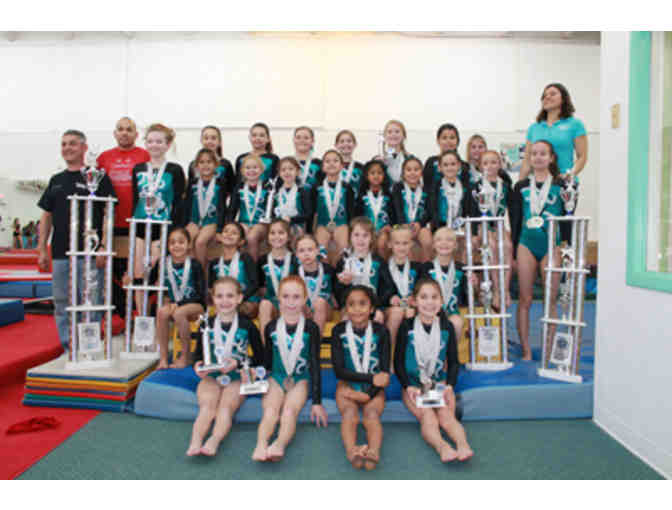 Cats Gymnastics - A $40 Gift Certificate