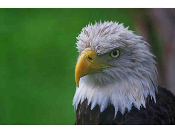 Flamingo Gardens - Two (2) Admission Passes