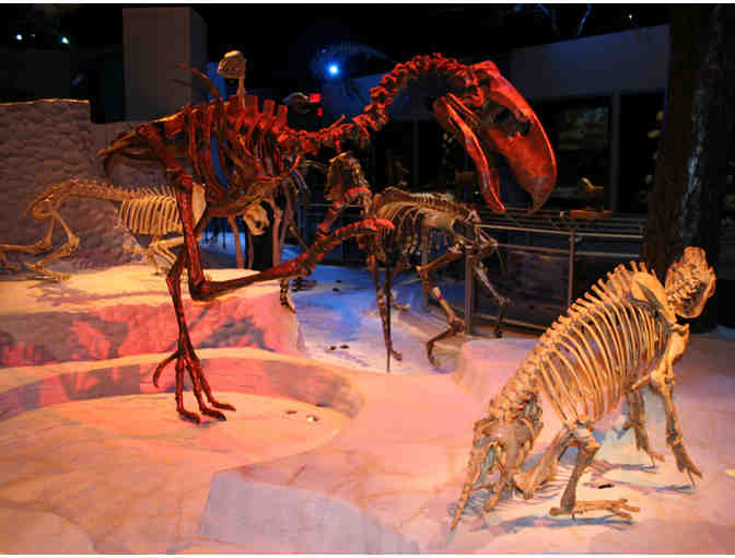 Florida Museum of Natural History - Two (2) 'Butterfly Rainforest' Tickets