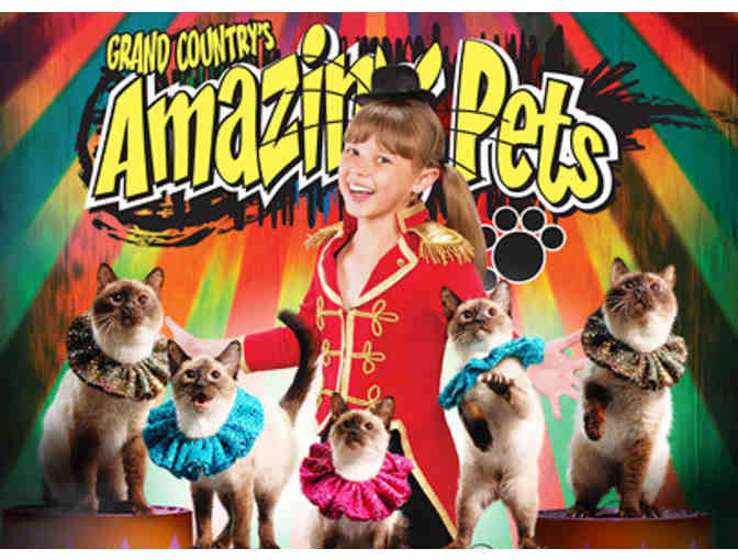 Grand Country Music Hall - All-Show Pass 2017 for Two (2).