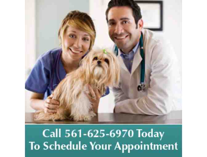 Ibis Animal Hospital - Certificate for Annual Vaccinations for a Dog