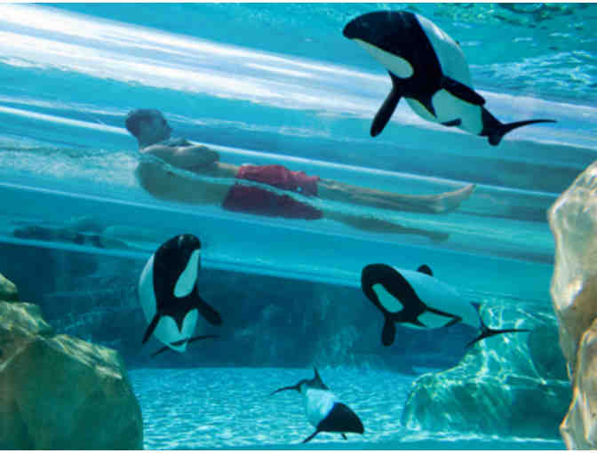 Aquatica Seaworld's Waterpark - Four (4) Admission Tickets - Photo 2