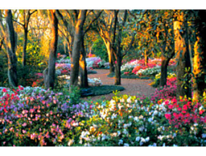 Bok Tower Gardens - Four (4) Admission Tickets