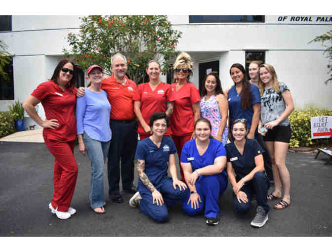 Community Animal Hospital - Vet for a Day