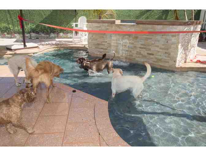 Very Important Paws - A Five Day Play Pack of Dog Daycare