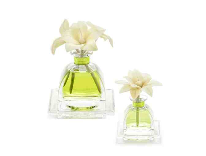 Agraria-Golden Cassis Fragrance Diffusers - AirEssence, PetiteEssence, & AirEssence Spray - Photo 3