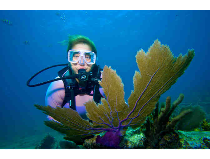 Amy Slate's Amoray Dive Resort - Key Largo, FL. - A Dive/Snorkel Trip for Two (2)