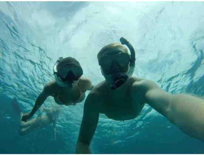 Amy Slate's Amoray Dive Resort - Key Largo, FL. - A Dive/Snorkel Trip for Two (2) - Photo 5