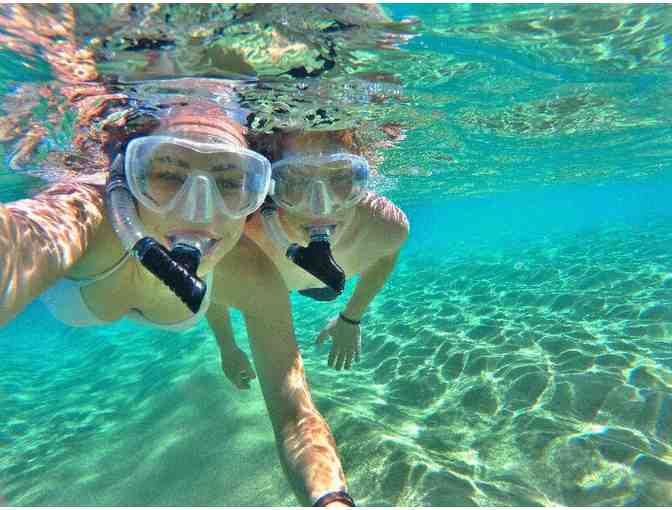 Amy Slate's Amoray Dive Resort - Key Largo, FL. - A Dive/Snorkel Trip for Two (2) - Photo 2