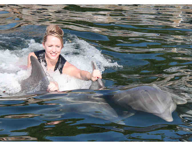 Dolphins Plus MMR - Key Largo, Fl. - An Interactive Dolphin Swim for Two (2)