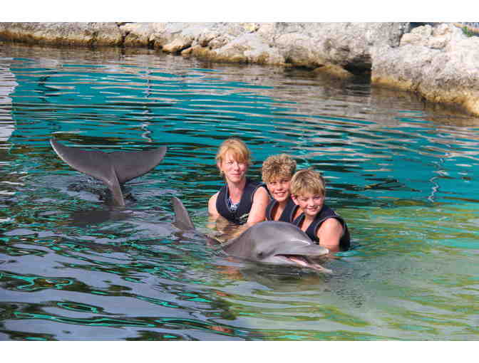 Dolphins Plus MMR - Key Largo, Fl. - An Interactive Dolphin Swim for Two (2) - Photo 2
