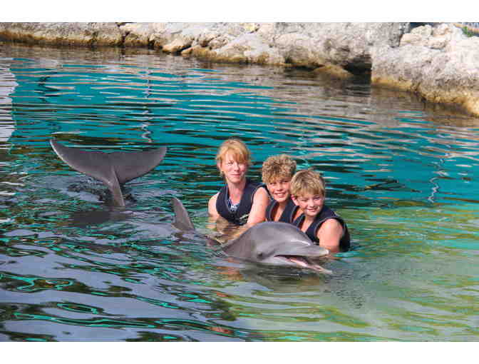 Dolphins Plus MMR - Key Largo, Fl. - An Interactive Dolphin Swim for Two (2)