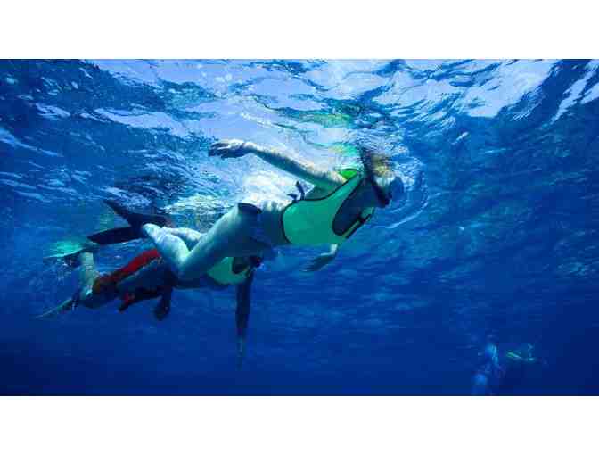 Fury Water Adventures - Key West, FL. - Rum & Reggae Snorkel/Sunset Combo for Two (2)