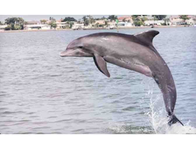 Hubbard's Marina - Madeira Beach, FL. - One Dolphin Watch